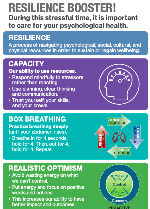 Resilience Booster (PDF)